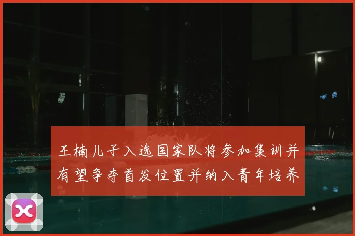 王楠儿子入选国家队将参加集训并有望争夺首发位置并纳入青年培养计划