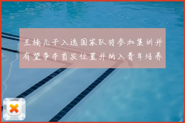 王楠儿子入选国家队将参加集训并有望争夺首发位置并纳入青年培养计划