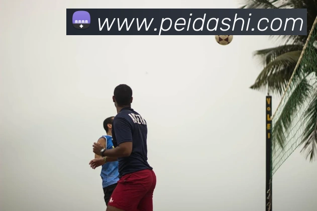 kaiyun入口服务体系